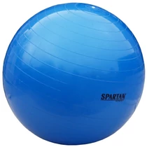 Gimnasztika labda, 55 cm SPARTAN - SportSarok