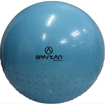 Masszázs gimnasztikai labda, 65 cm SPARTAN