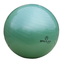 Gimnasztika labda, 65 cm SPARTAN - SportSarok